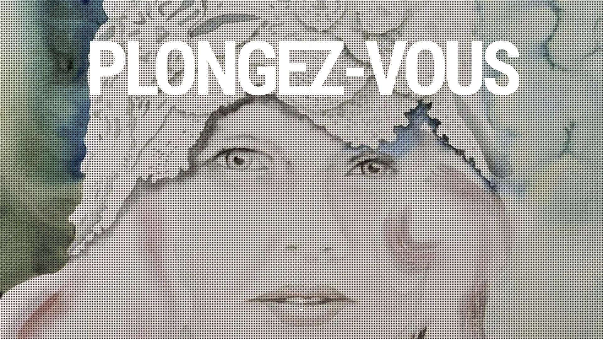 Capture d'écran de Présentation d'aquarelles de Georges Moyses