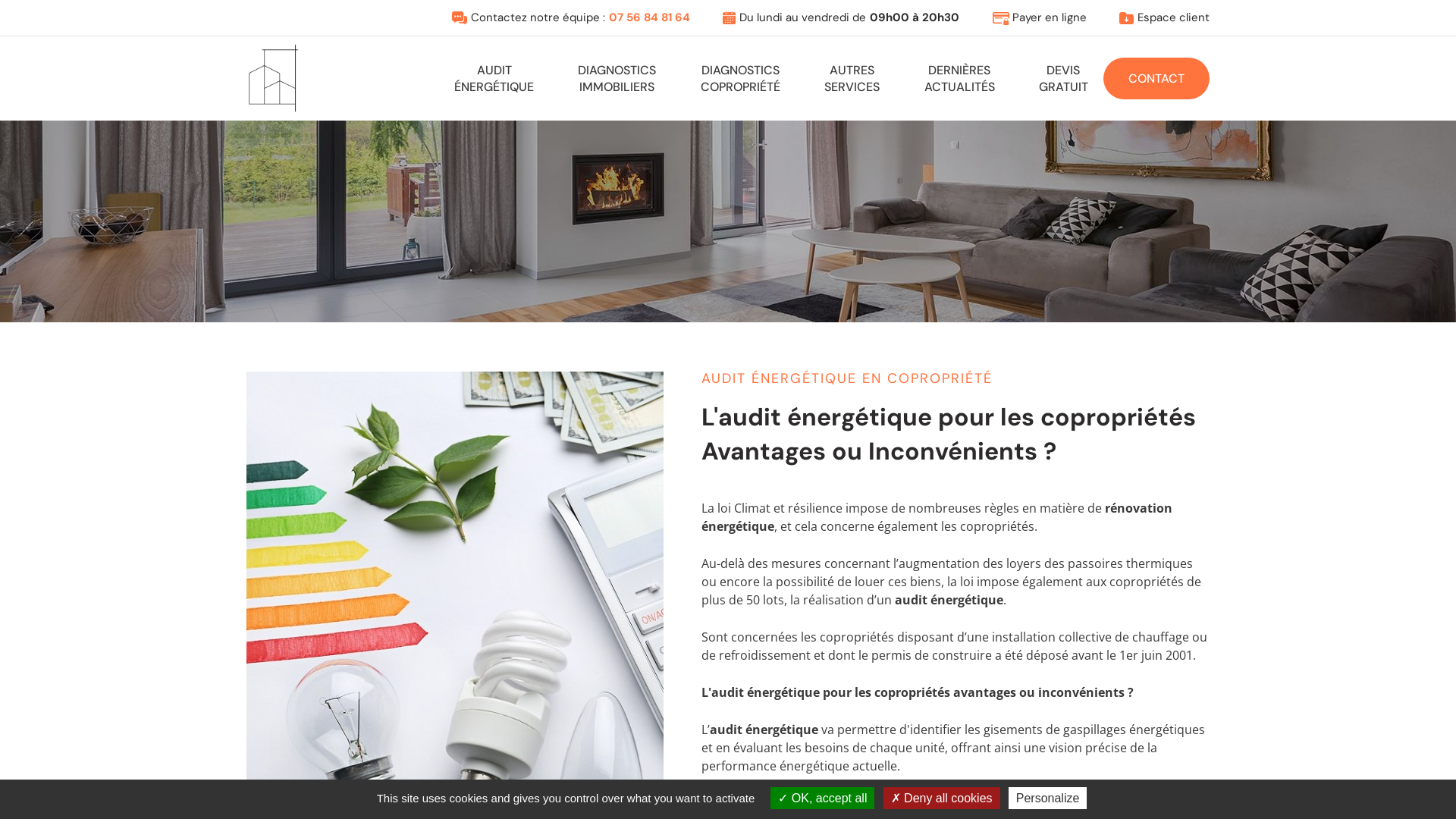 Capture d'écran de France Audit Conseil, un diagnostiqueur au service de tous vos projets immobiliers sur toute l'Île-de-France. 