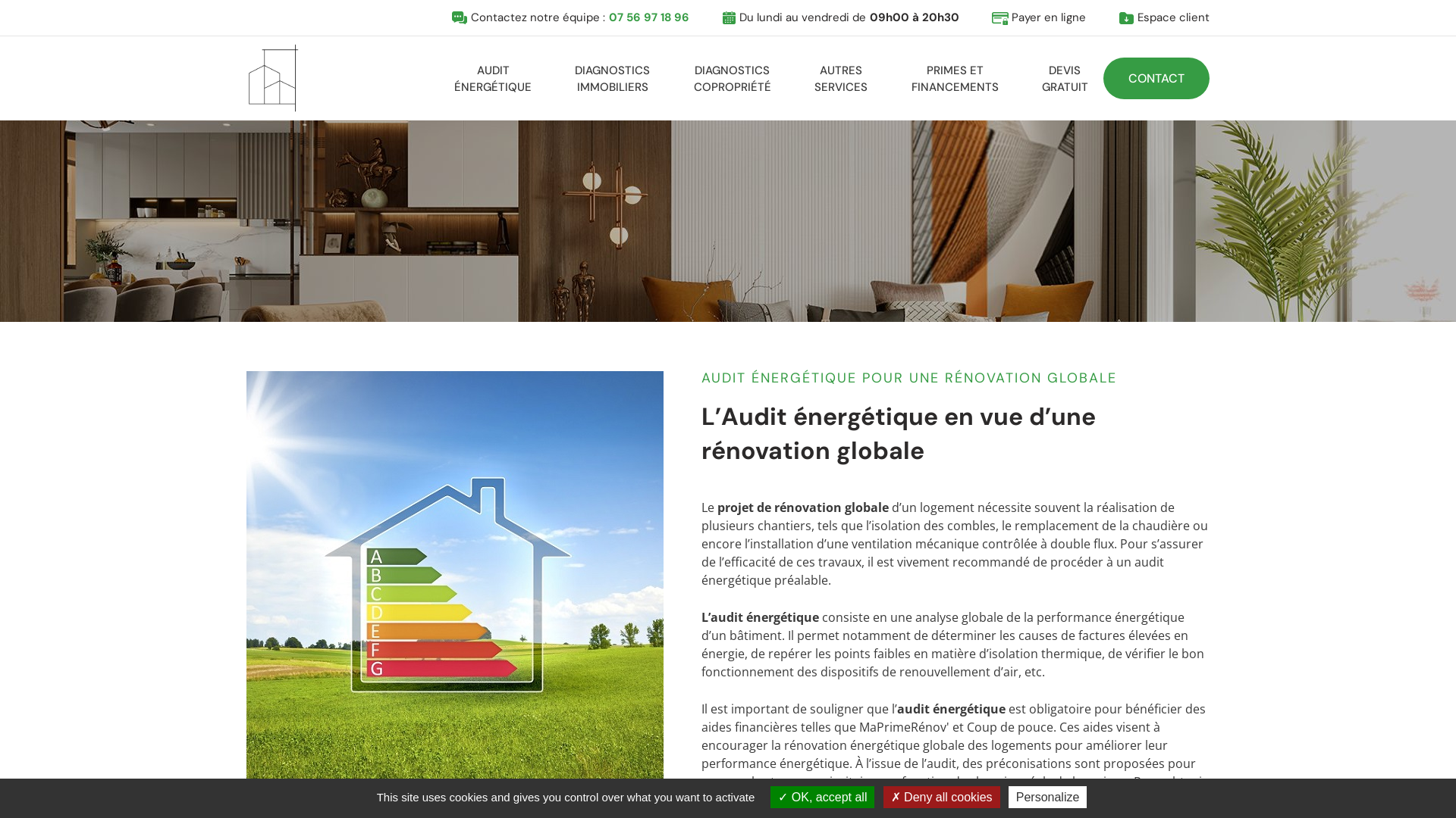 Capture d'écran de France Audit Conseil, un diagnostiqueur au service de tous vos projets immobiliers sur toute l'Île-de-France. 