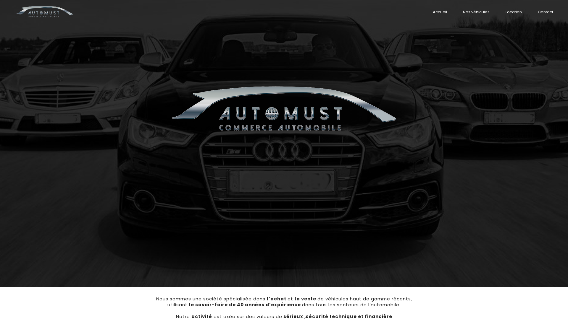 Capture d'écran de AUTO MUST