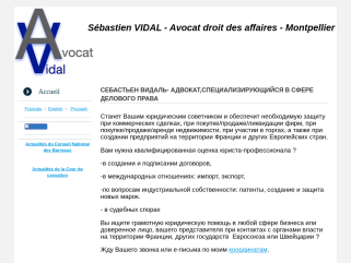 French Russian Attorney at law, business law, commercial law, M&A. 

For all your business in France and Europe, we can help you. 