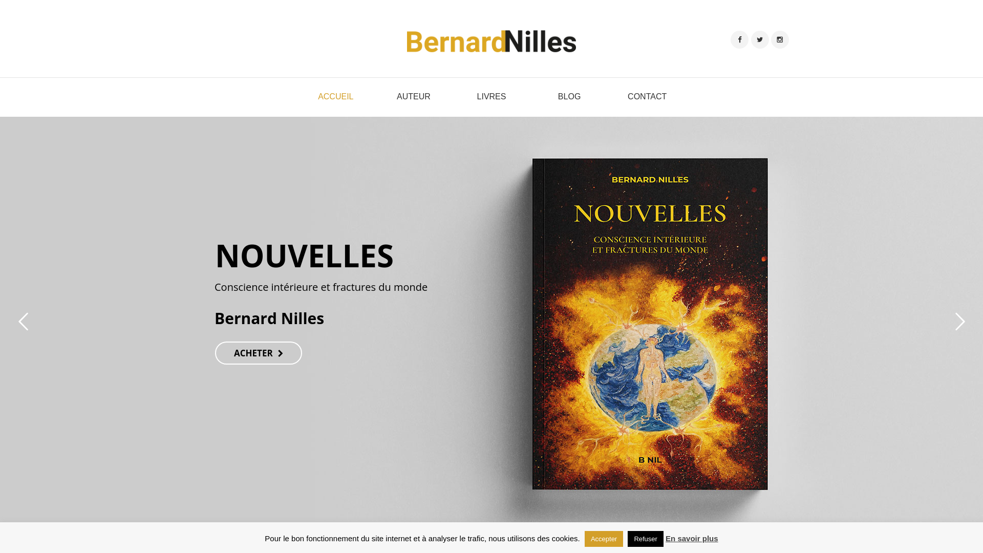 Capture d'écran de BernardNilles