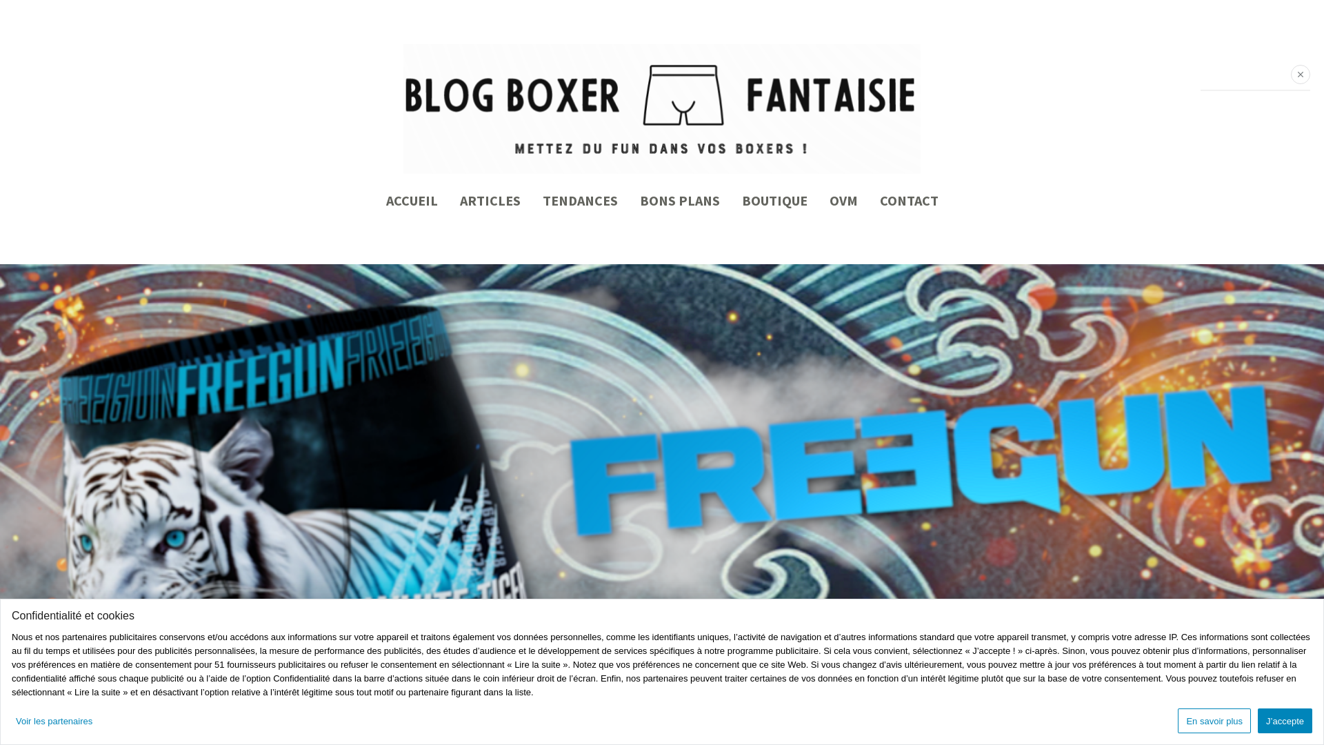 Capture d'écran de Blog b-boxs boxer full-up 