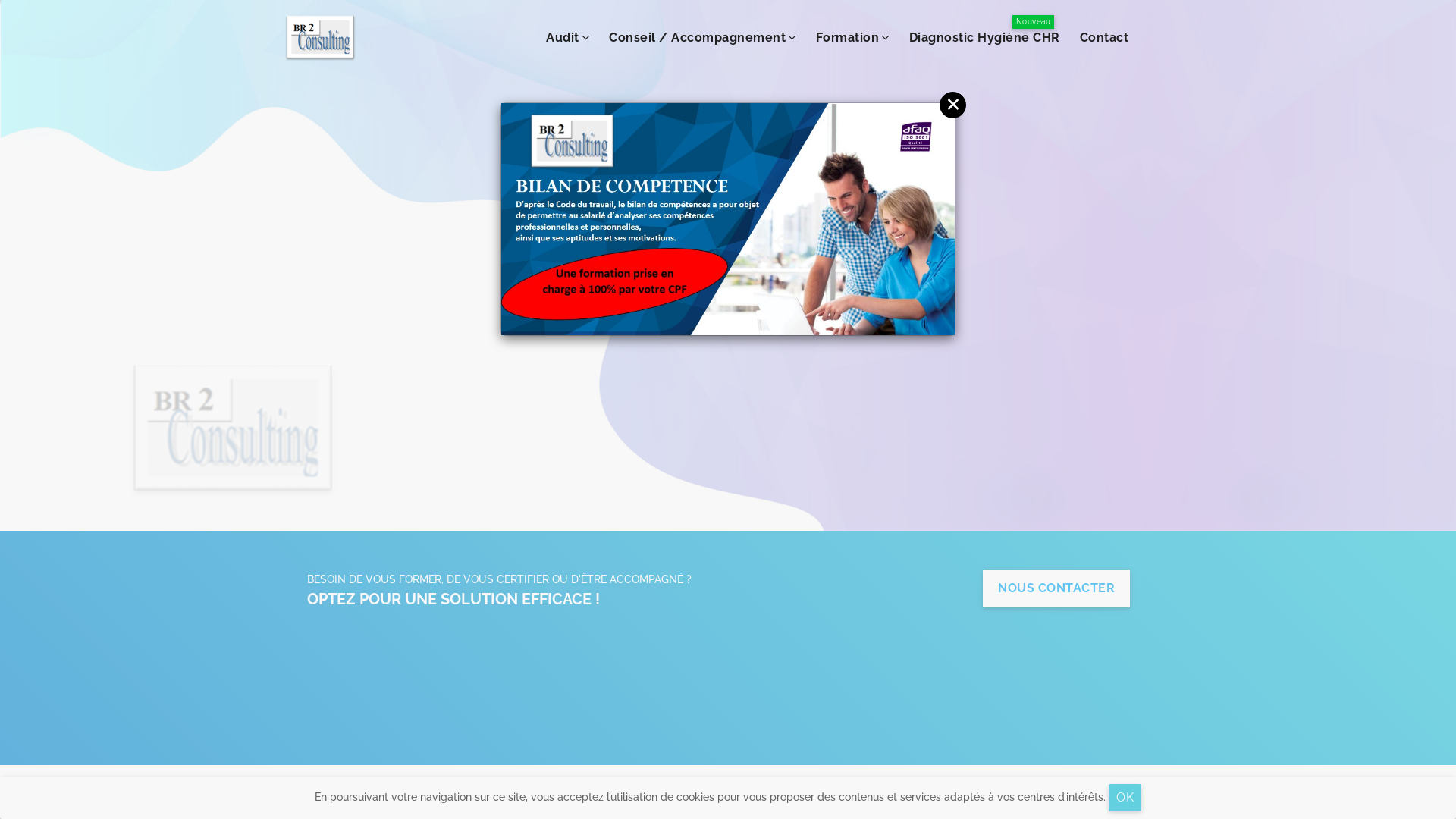 Capture d'écran de BR2 CONSULTING