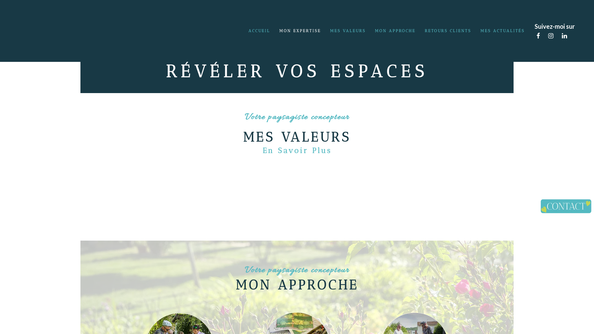 Capture d'écran de Atelier de paysage Brunnera