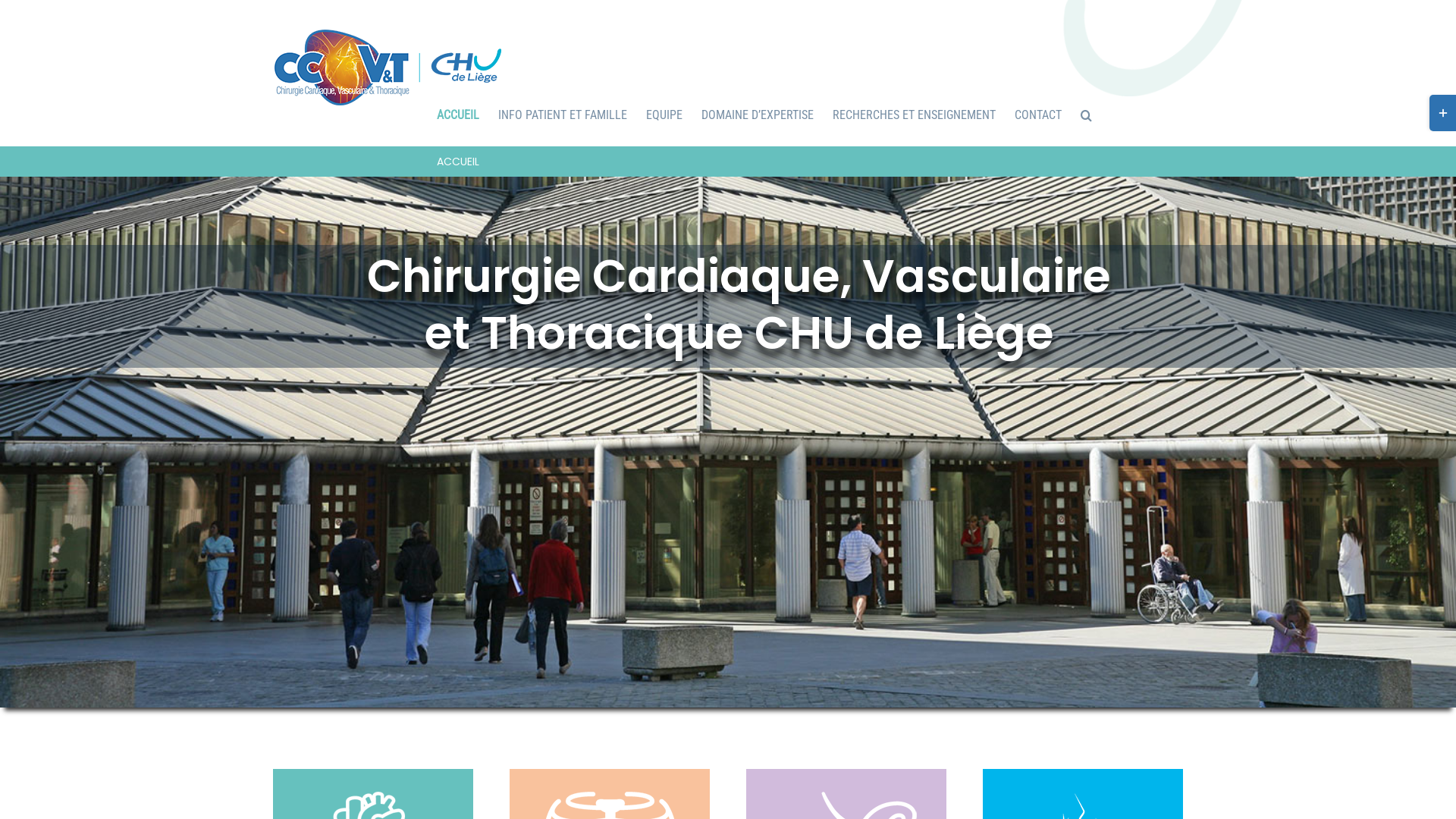 Capture d'écran de Chirurgie cardiovasculaire et thoracique
