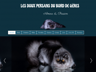 Chatterie des persans du Bord de Gères