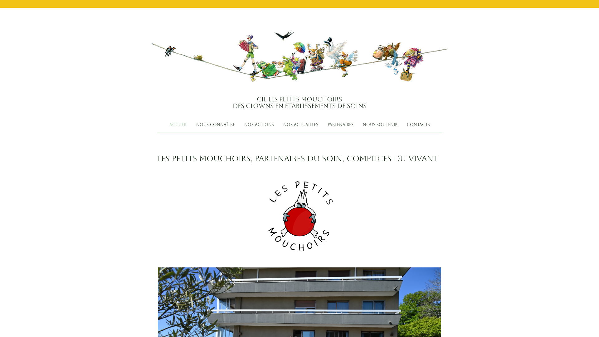 Capture d'écran de Cie Les Petits Mouchoirs