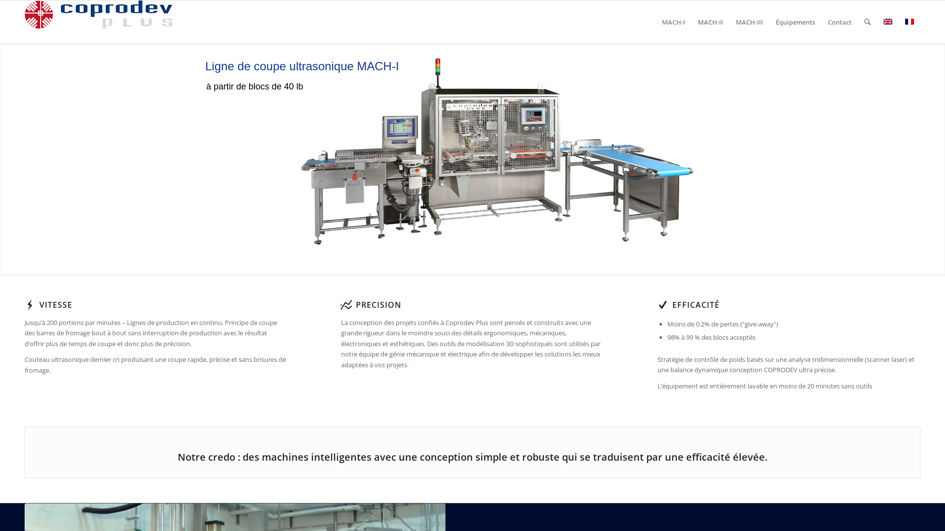 Capture d'écran de HIGH THROUGHPUT EXACT WEIGHT CHEESE CUTTING TECHNOLOGY FOR THE 640 AND 40LBS INDUSTRY