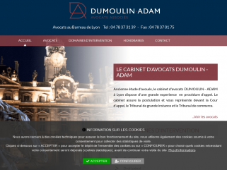 Le cabinet d'avocats DUMOULIN - ADAM à Lyon dispose d'une grande experience  en procédure d'appel. Le cabinet assure la postulation et vous représente devant la Cour d'appel, le Tribuna