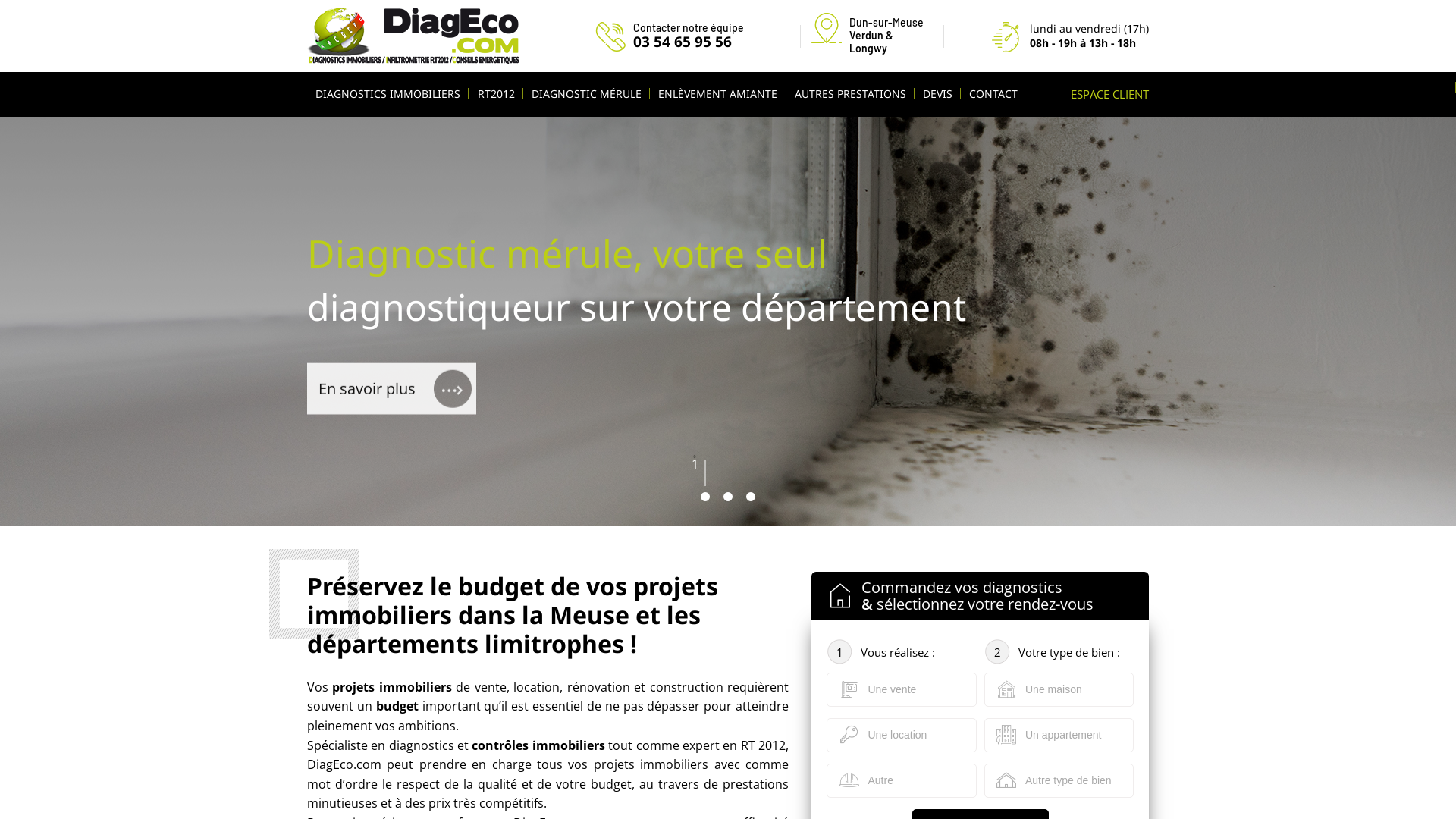 Capture d'écran de DiagEco