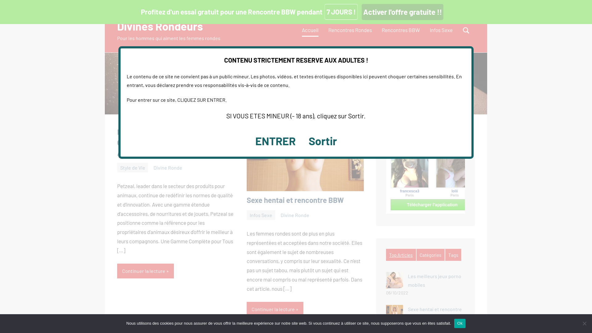 Capture d'écran de Divines Rondeurs, le meilleur plan pour rencontrer de femmes rondes et sexy. Annonces rencontres BBW