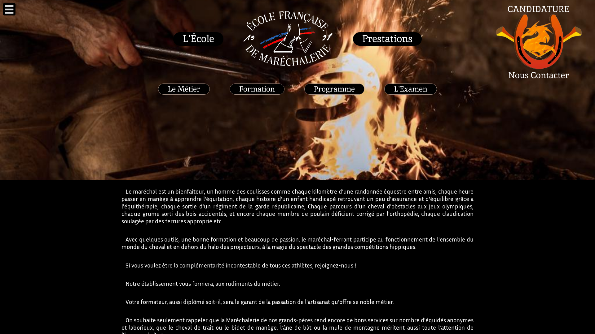 Capture d'écran de Ecole Francaise De Marechalerie 