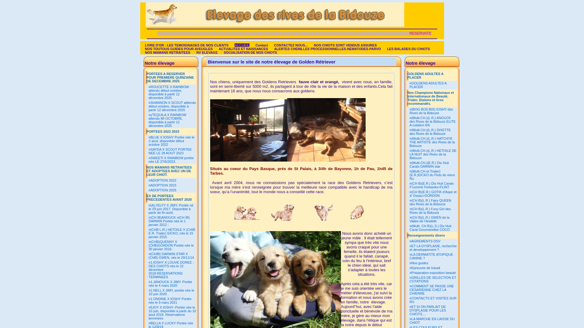 Capture d'écran de Elevage de chien golden retriever