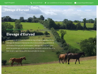 Elevage de chevaux, pension de poulinières, entrainement de trotteurs en Basse Normandie