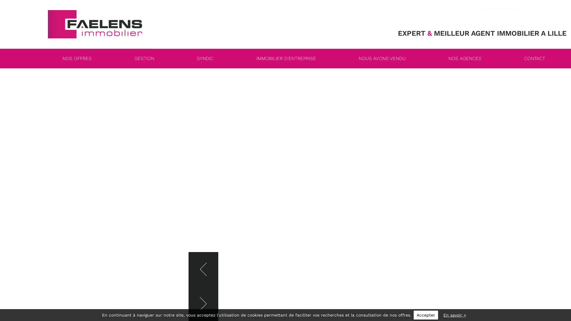Agence Immobiliere à Lille centre, Wazemmes, Moulins, Vieux Lille, Vauban, Esquermes, Lebas et autre