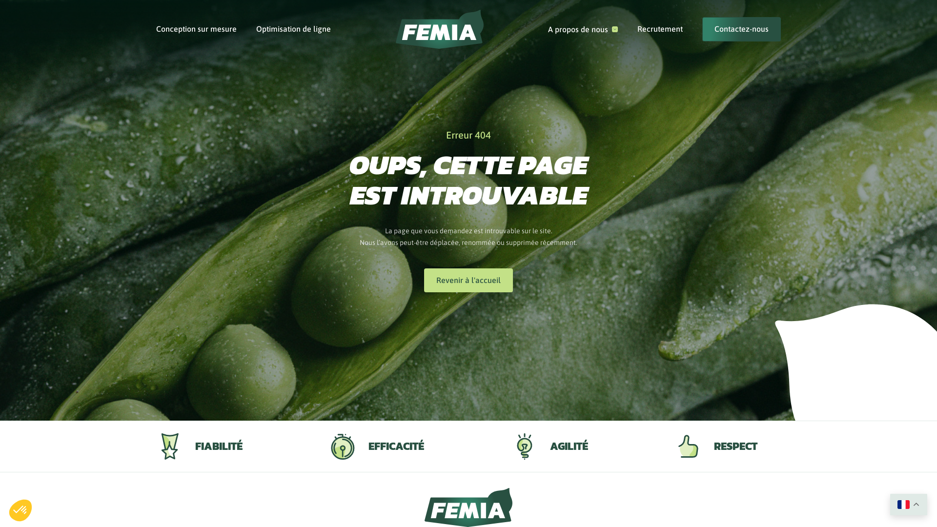 Capture d'écran de Experts in processing equipment for the food industry