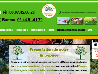 France Elagage 41 - Service Espace vert - Tél:06.07.42.88.28  Elagage&Abattage d'arbre 41