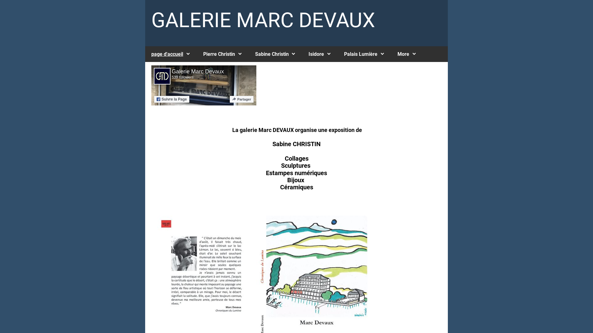 Capture d'écran de Galerie de peintures, collages, sculptures et toutes oeuvres d'arts, 