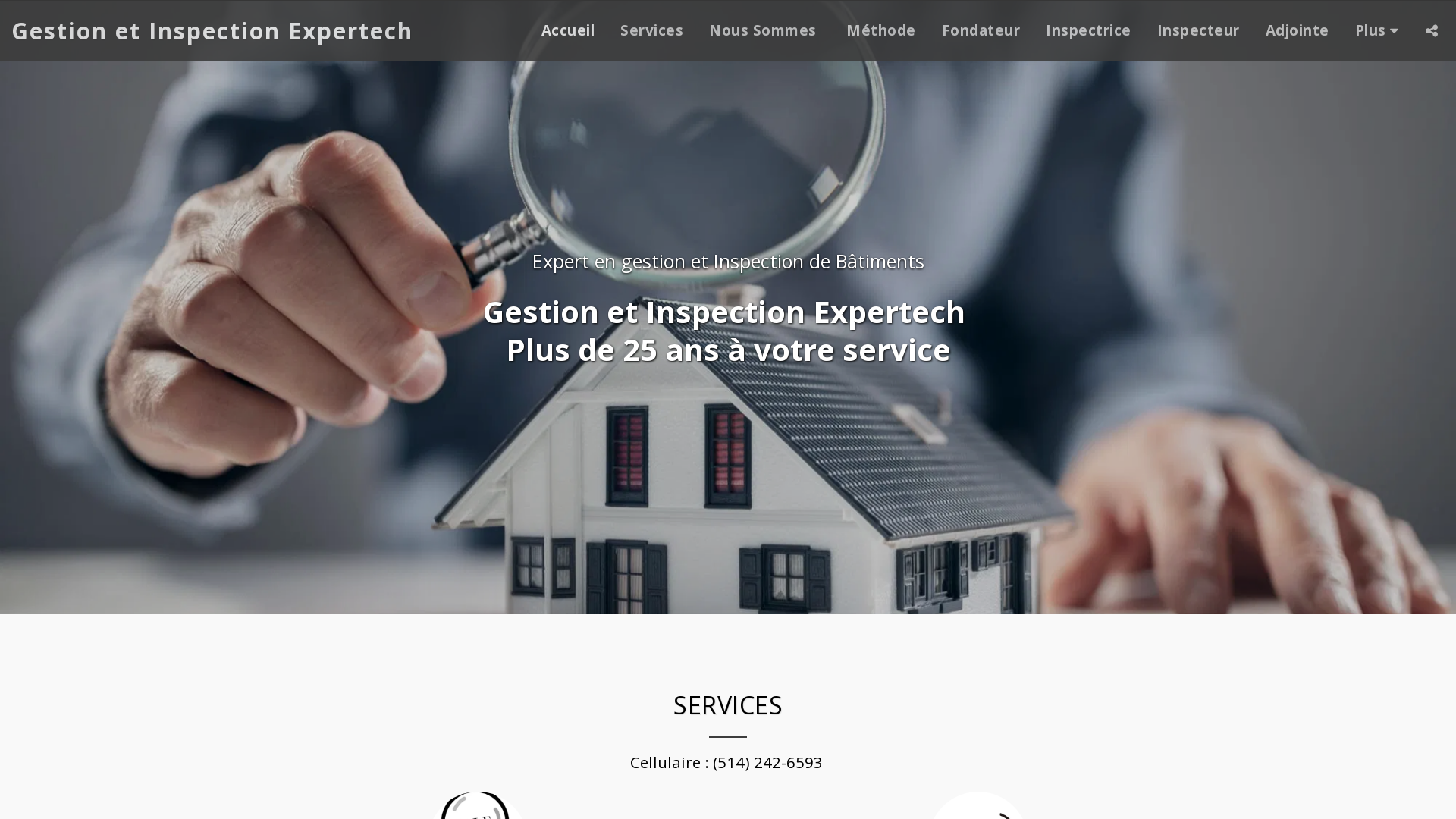 Capture d'écran de Gestion et inspection Expertech