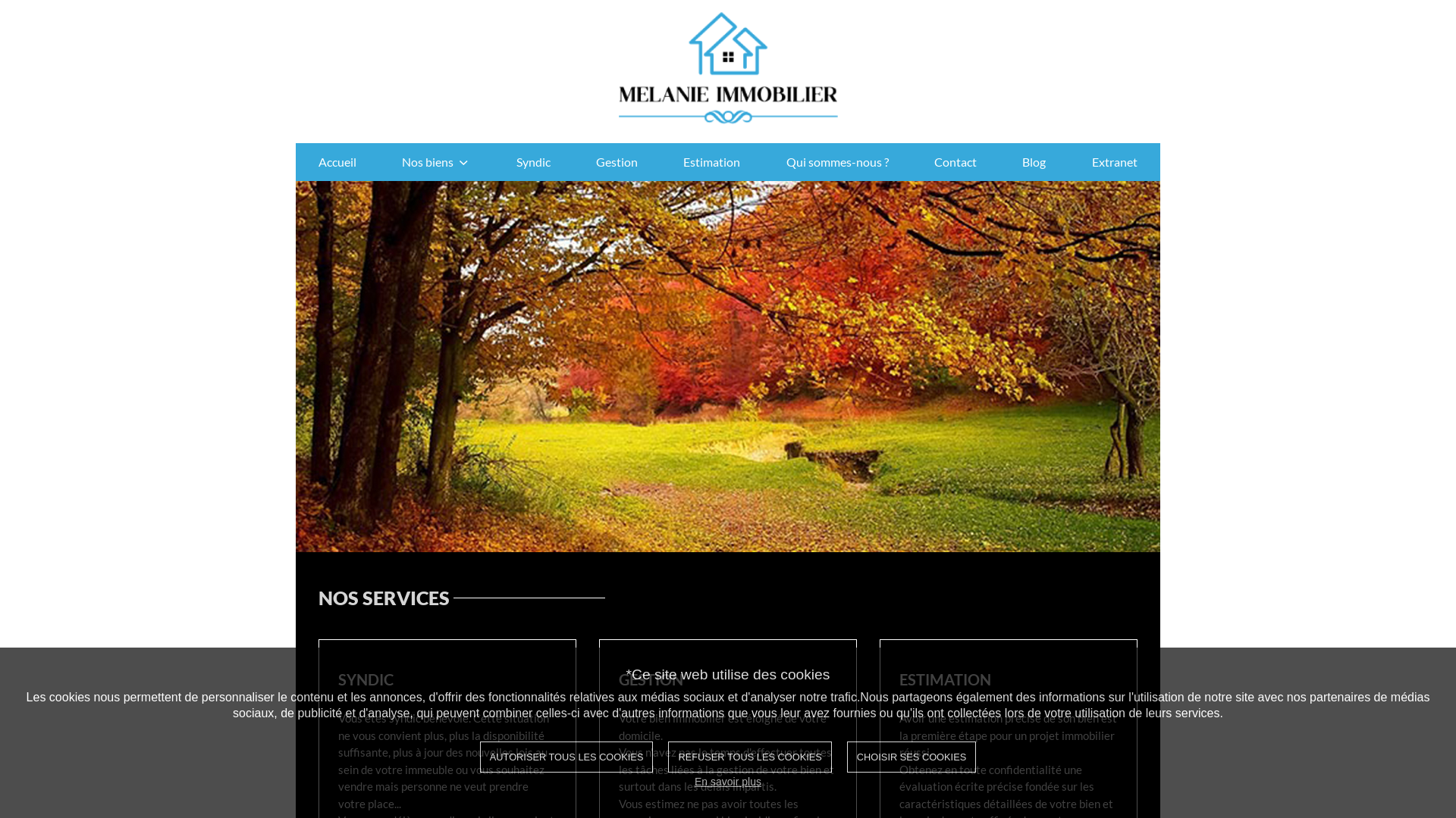 Capture d'écran de Agence immobilière à Saulxures sur Moselotte dans les Vosges.(Vente/Gestion/Syndic)