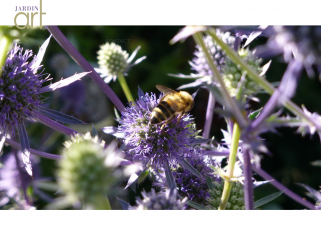 Ecolo Jardins Saisons