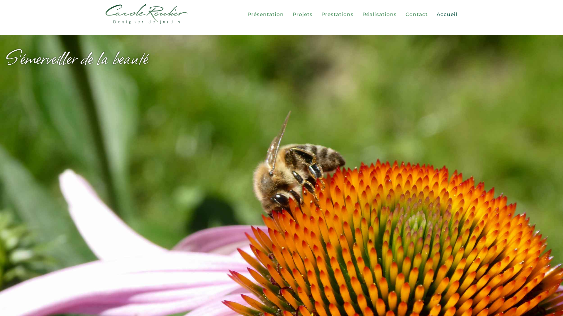 Capture d'écran de Entreprise d'aménagement et création de jardins. Etudes et plans de plantations