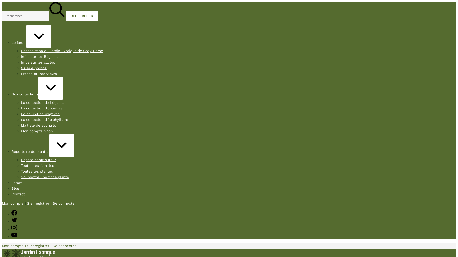 Capture d'écran de Jardin Exotique de Cosy Home - Rennes/Melesse (35)