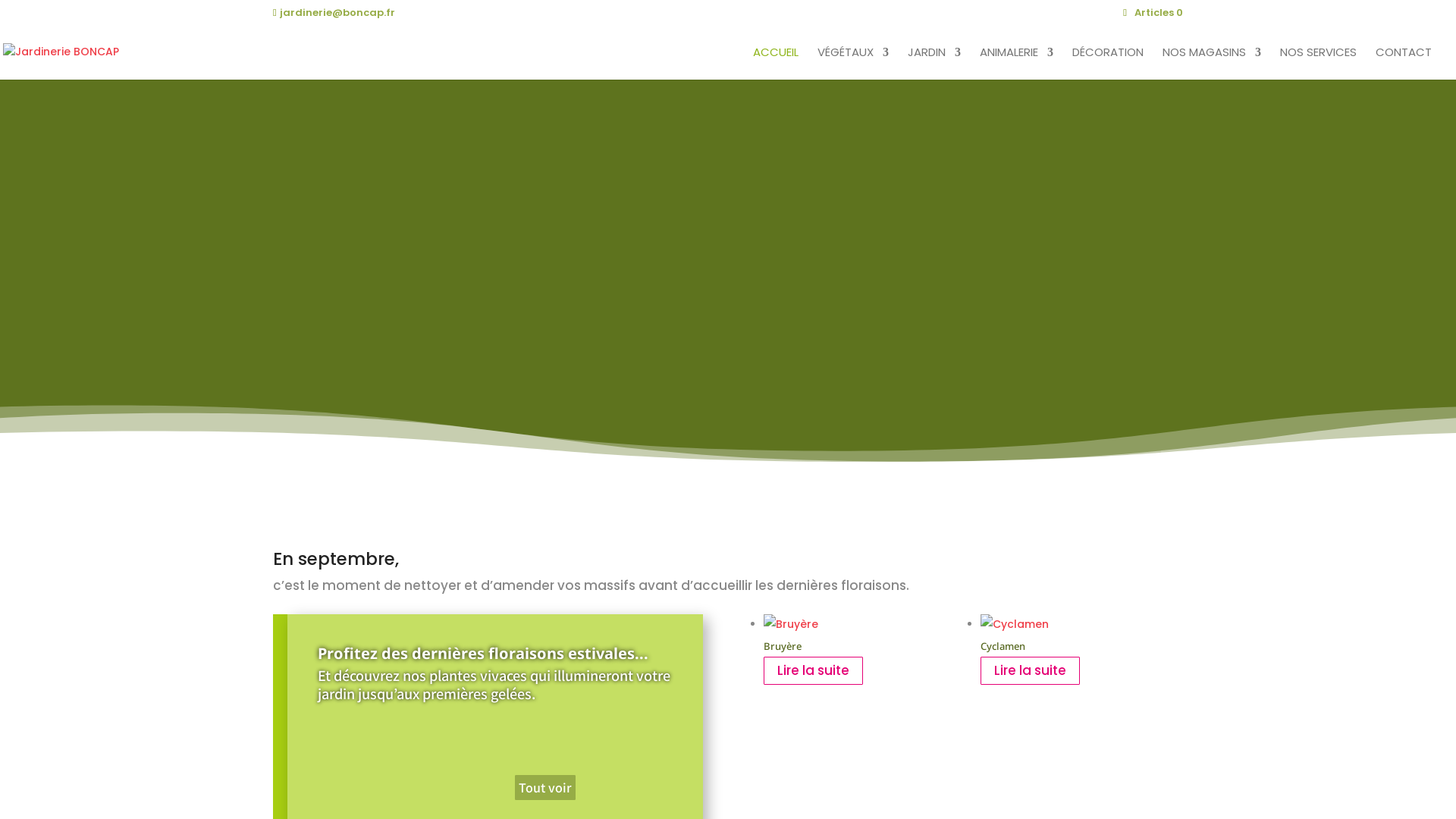 Capture d'écran de Jardinerie Boncap à Lescar, Orthez et Bordères, grand choix de végétaux de qualité à prix producteur 