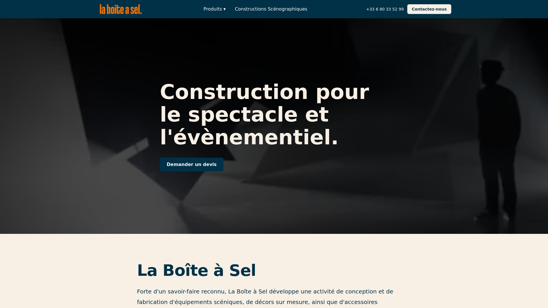 Capture d'écran de La boite a sel