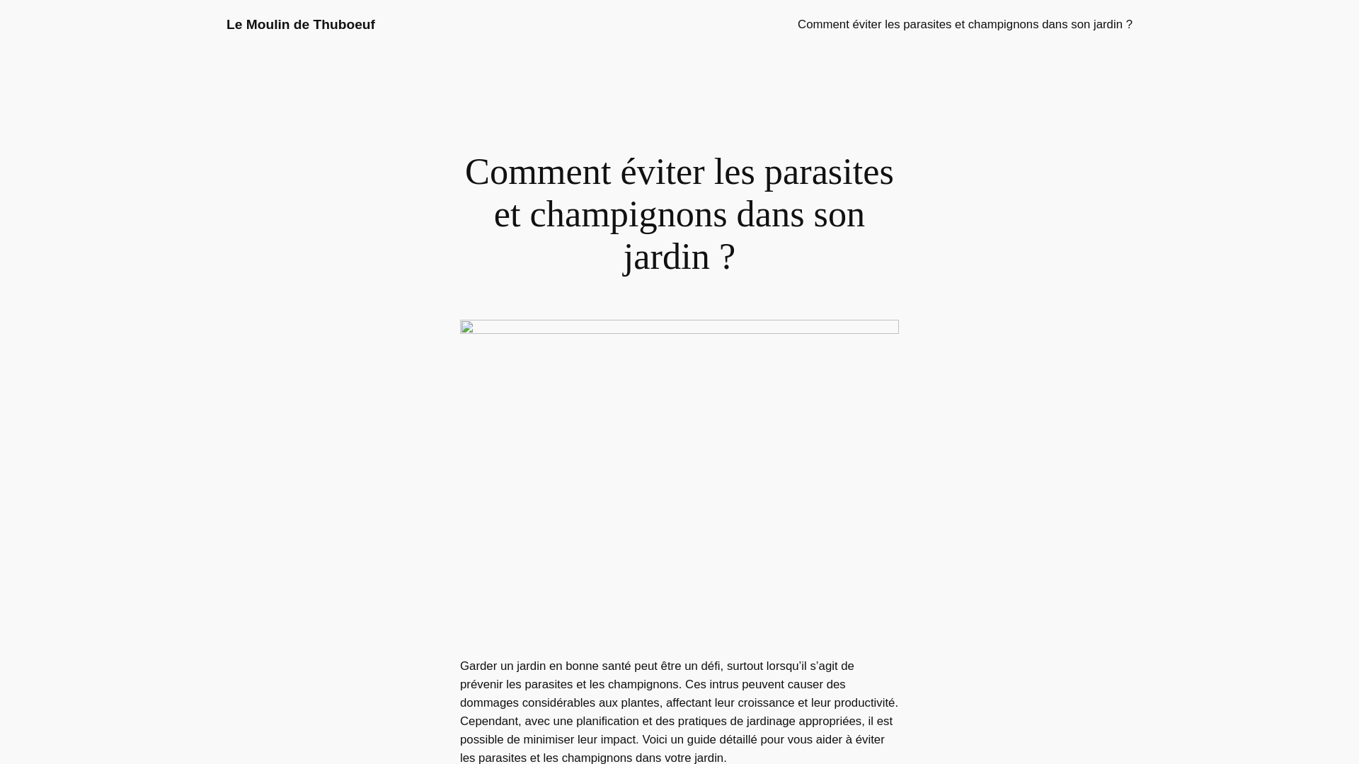 Capture d'écran de Le Moulin de Thuboeuf Chambres d'hôtes Laval Mayenne