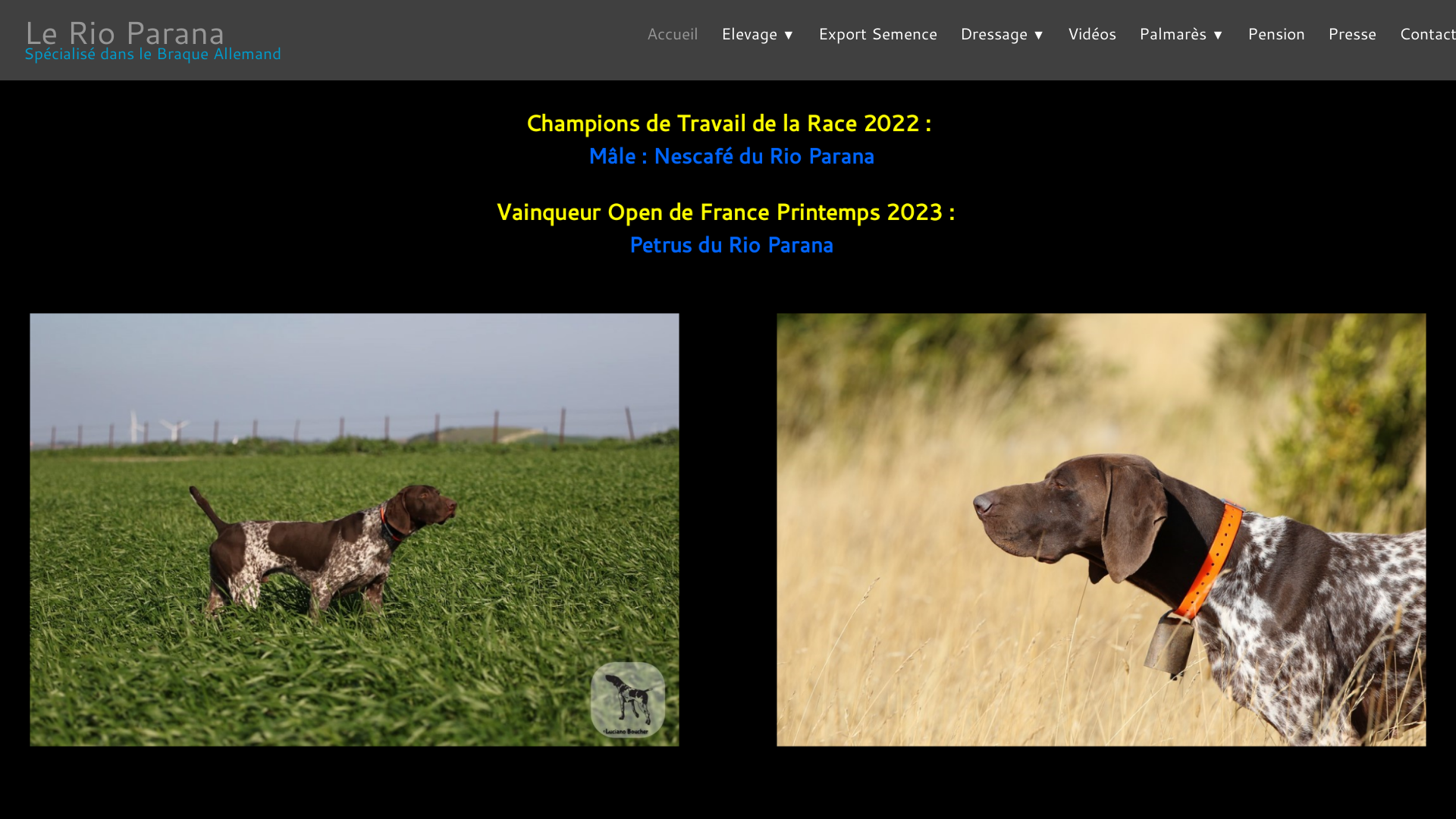Capture d'écran de Elevage Dressage du Rio Parana