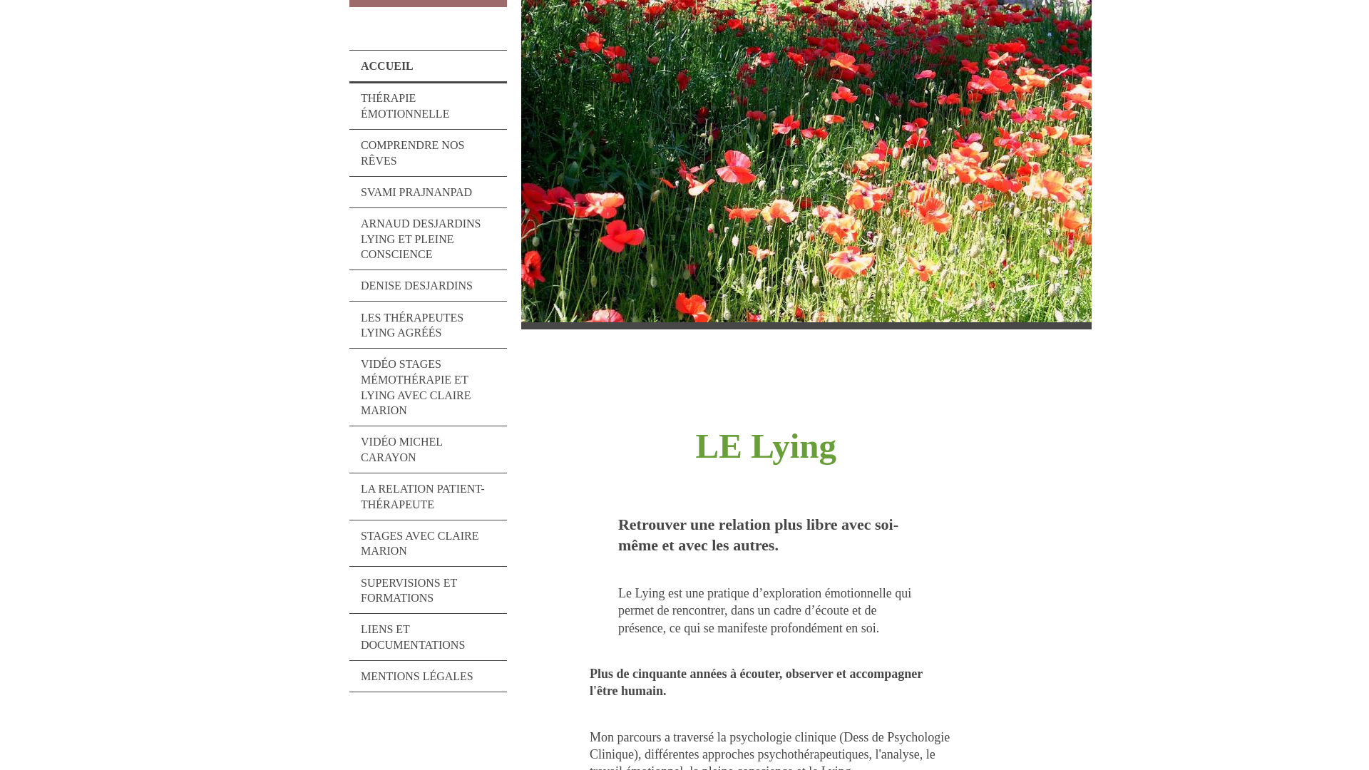 Aperçu de Méthode Lying & Thérapie Émotionnelle - Michel Carayon