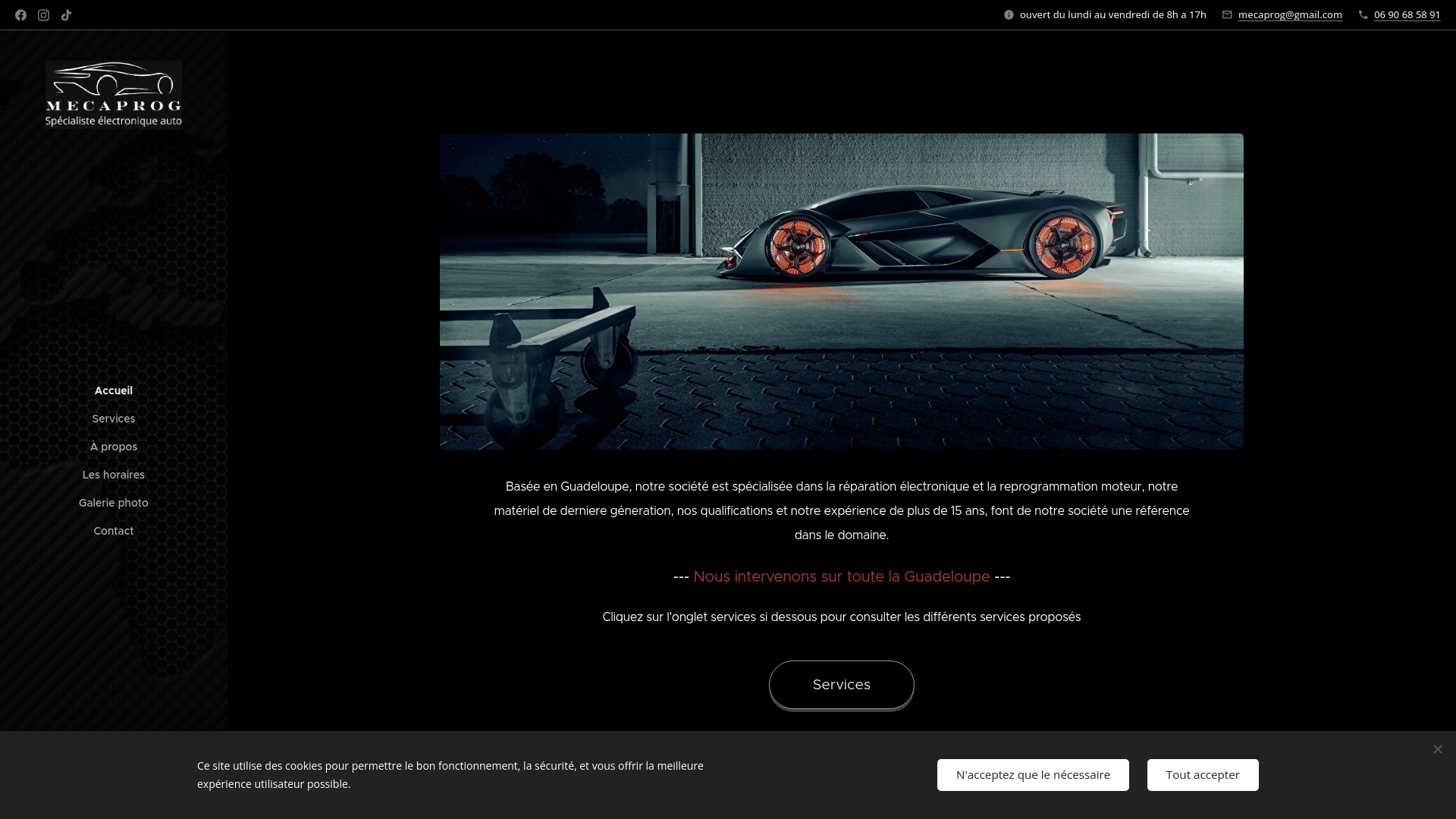 Capture d'écran de Spécialiste électronique auto en Guadeloupe, reprogrammation moteur, AdBlue, Urea, FAP, diagnostic, clé auto, EZS Mercedes, antidémarrage, réparation calculateur.