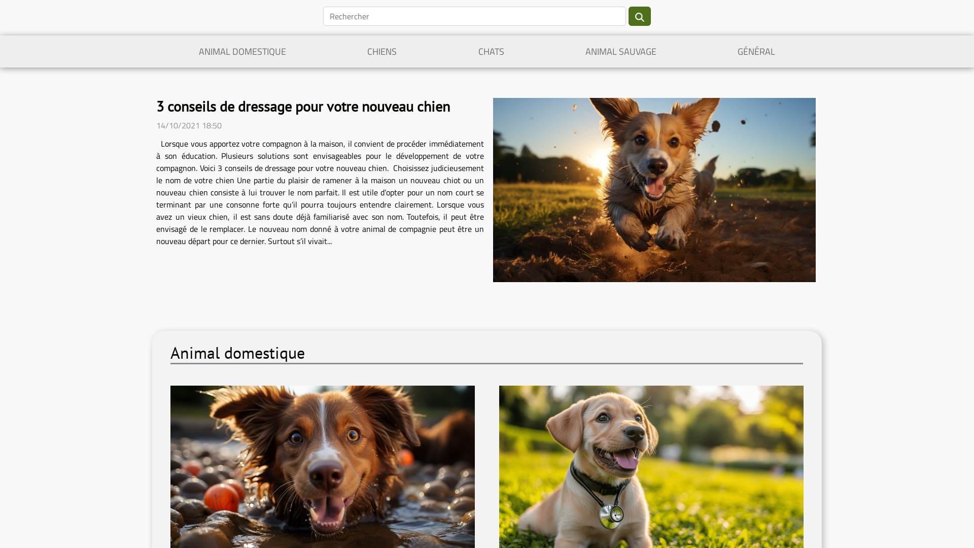 Capture d'écran de Les dalmatiens de la Tour de la Bastide
