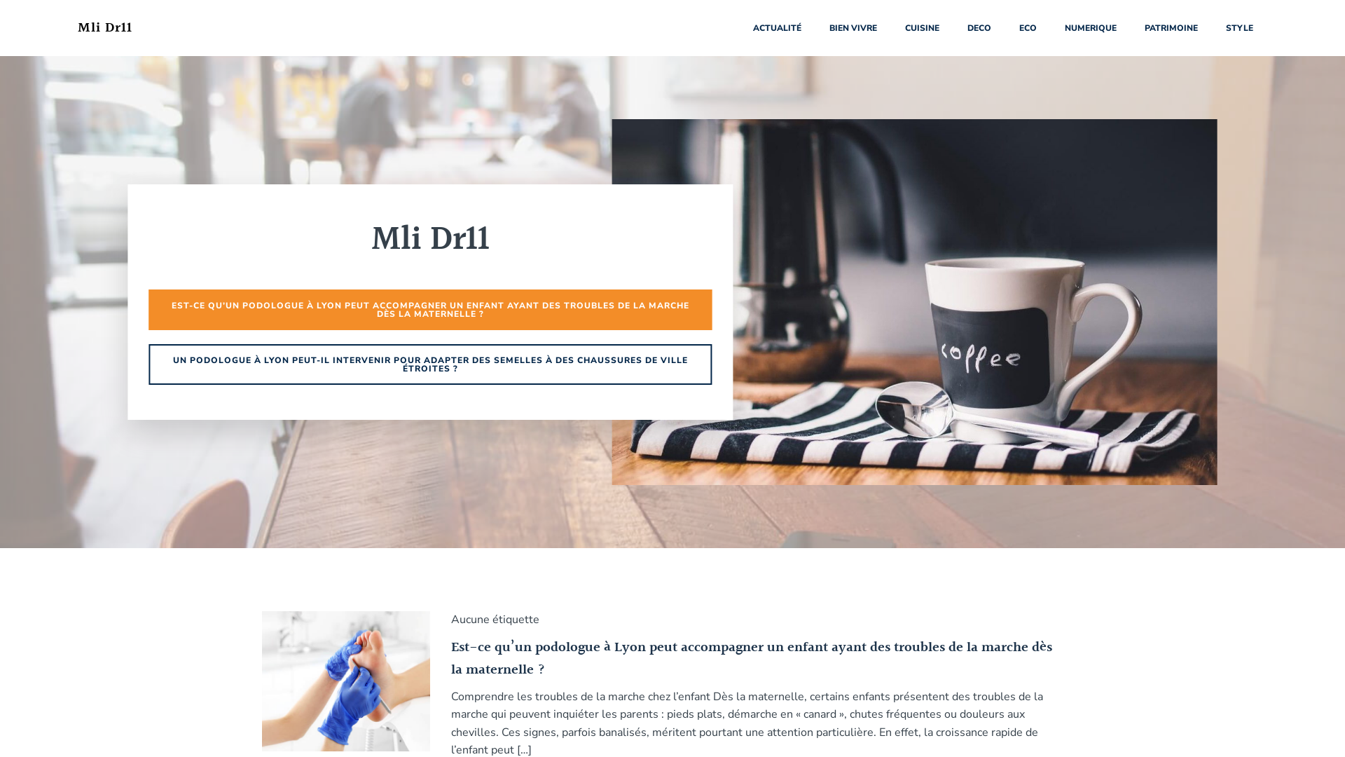 Capture d'écran de Mission Locale Limoux - Lézignan - Carcassonne - Castelnaudary - MLI DR11 - Emplois et formations