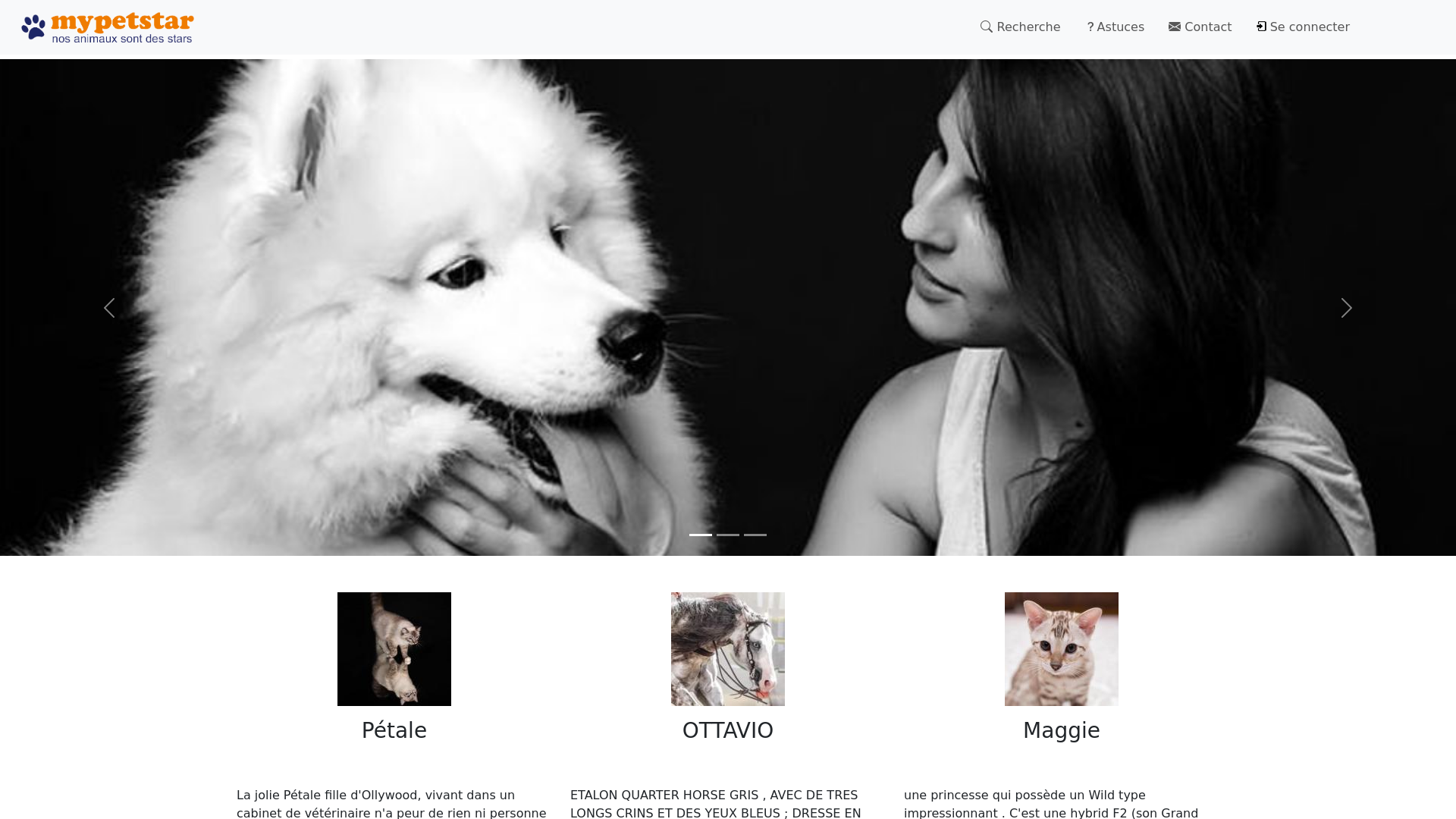 Capture d'écran de Mypetstar