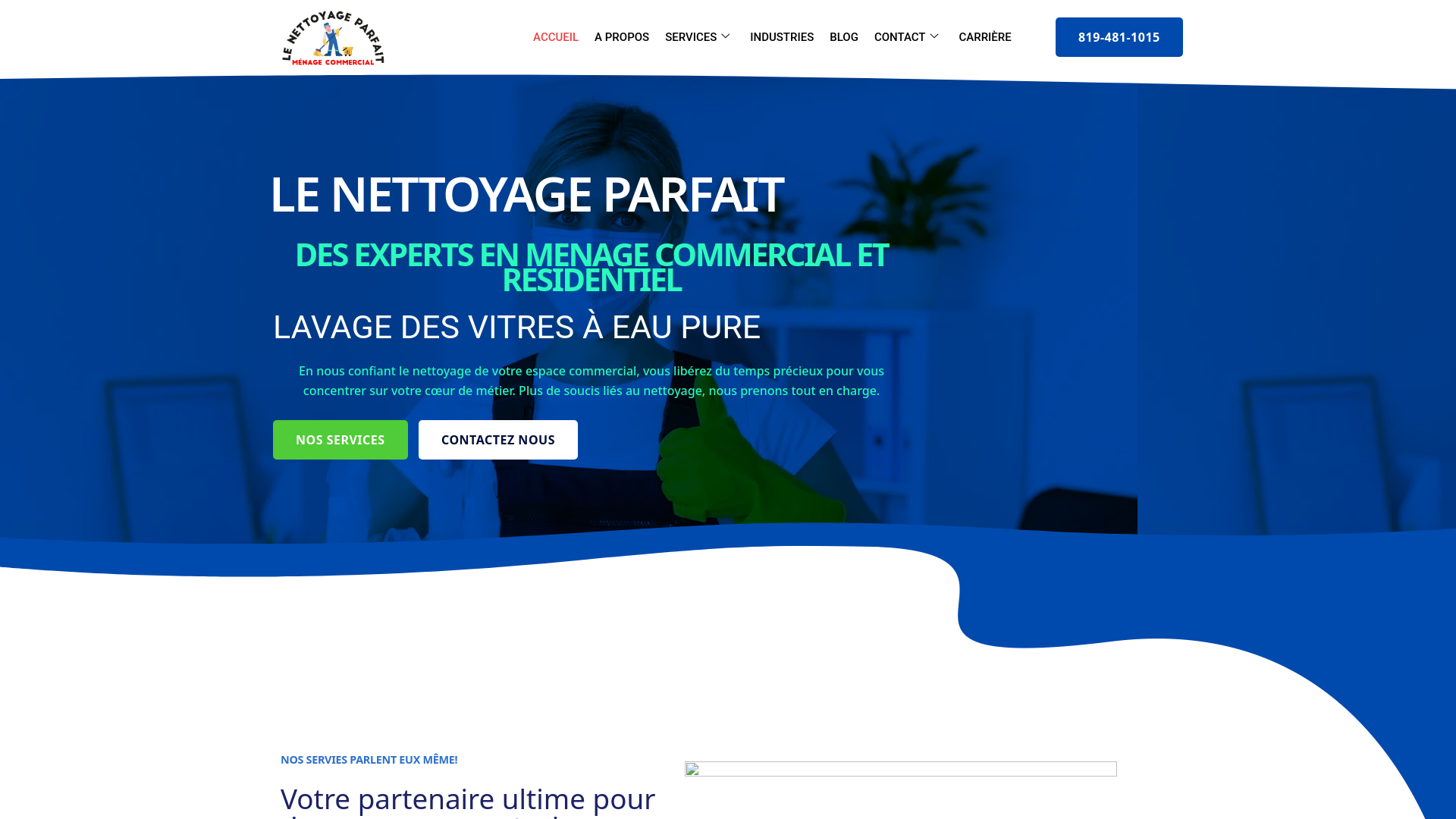 LE NETTOYAGE PARFAIT