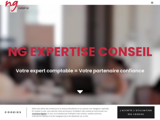 NG EXPERTISE & CONSEIL