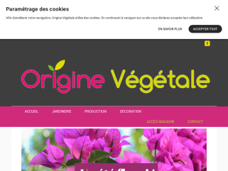 Vegetale Magasin