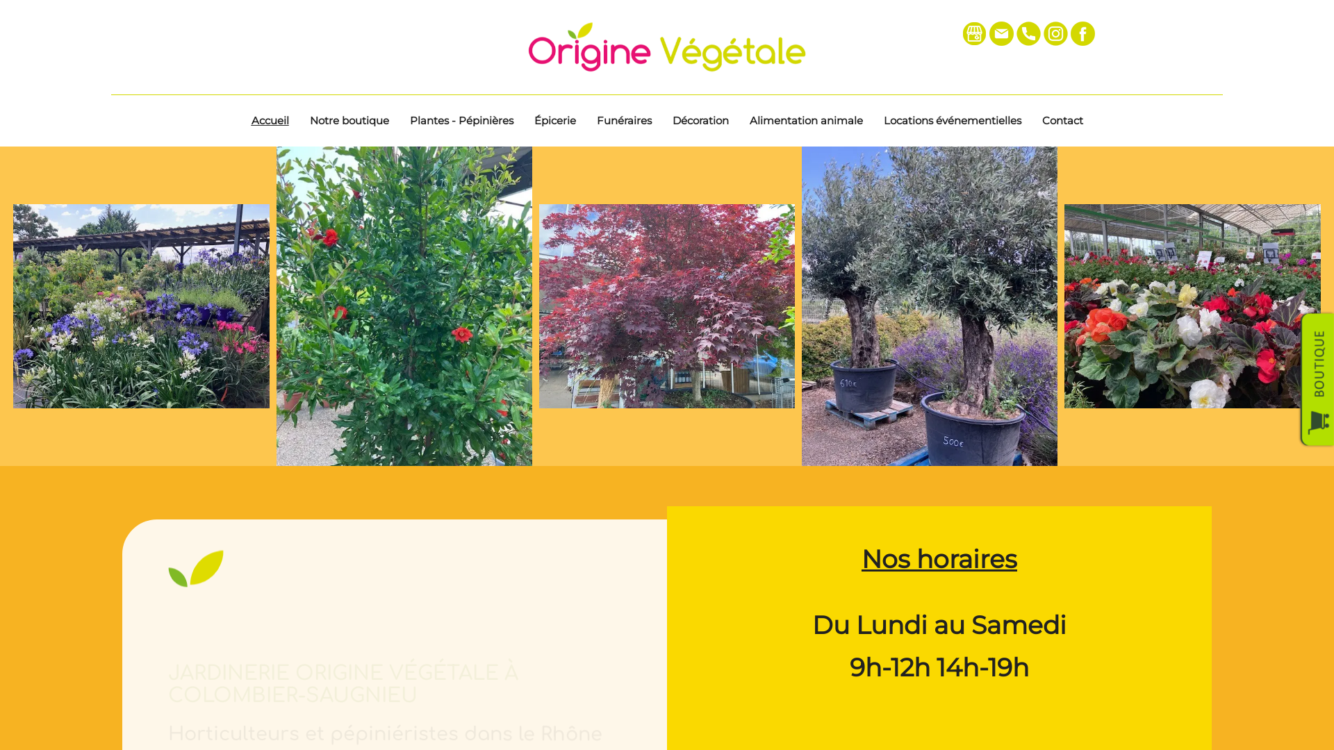 Capture d'écran de Les jardins de l'aéroport - jardinerie et pépinière Origine Végétale - production Raphael à Colombier Saugnieu, à côté St Bonnet de Mure et de Satolas