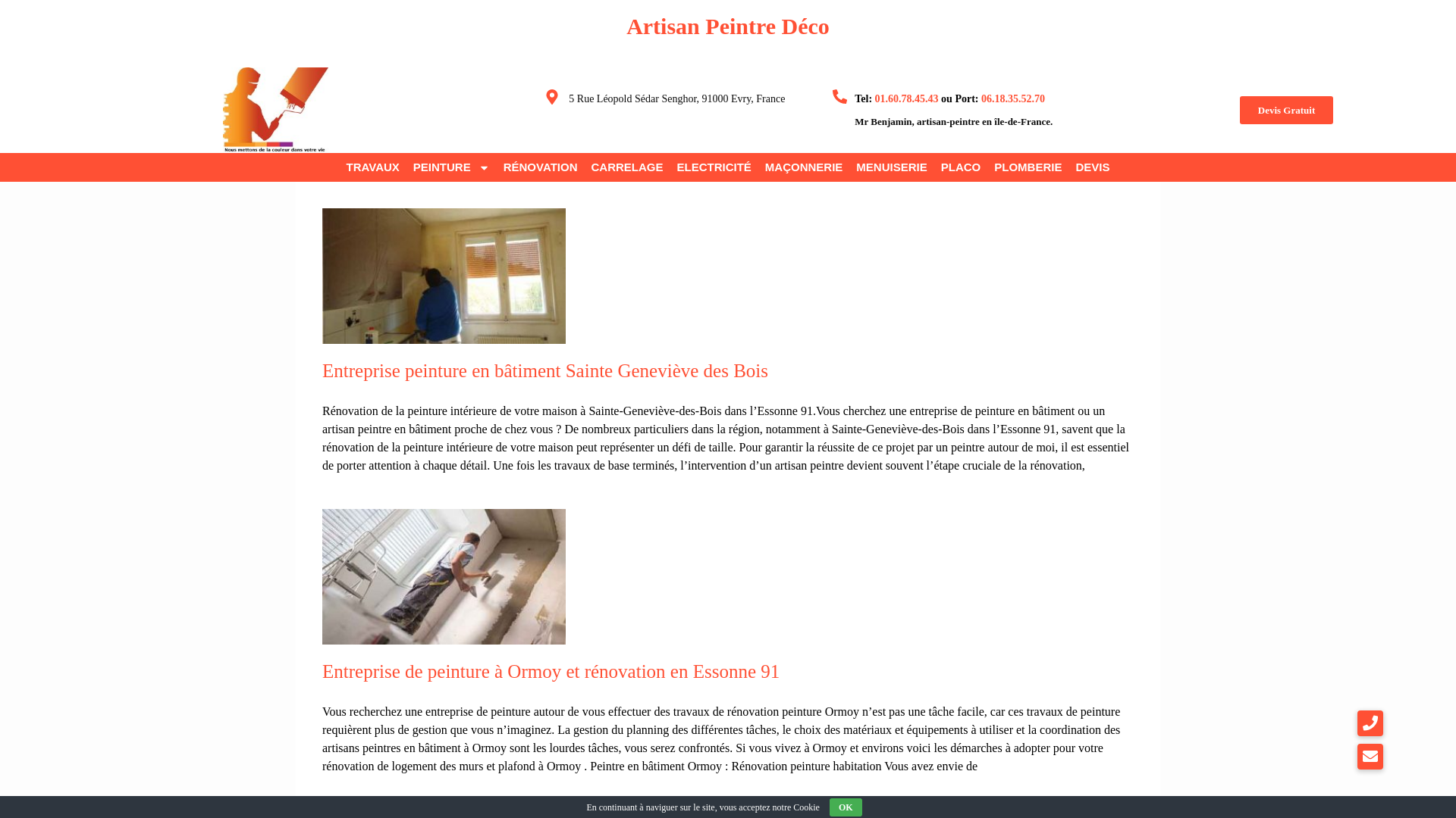 Capture d'écran de Peintre.déco.fr
