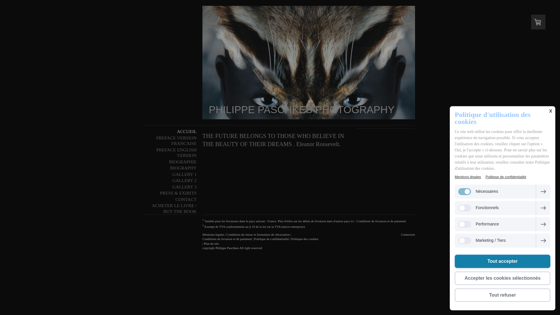 Capture d'écran de AFRICA BY PHILIPPE PASCHKES 