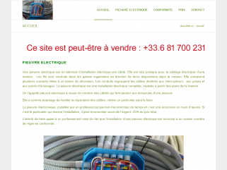Pieuvre.fr est fabriquant de Pieuvre Electrique depuis plus de 20 ans. Nous expédions votre Pieuvre Electrique dans toute la France en 48h.