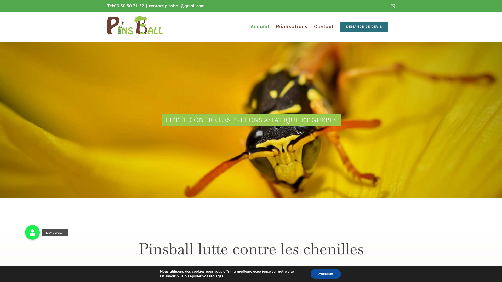 Capture d'écran de Pinsball, traitement bio, lutte contre les chenilles processionnaire du pin et du chêne, lutte contre les frelons asiatique et guêpes