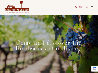 Private wine tours in Bordeaux. 