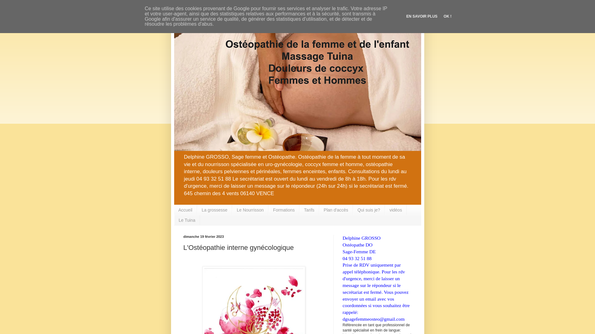 Capture d'écran de Ostéopathie intra pelvienne, Sage-femme et Ostéopathe