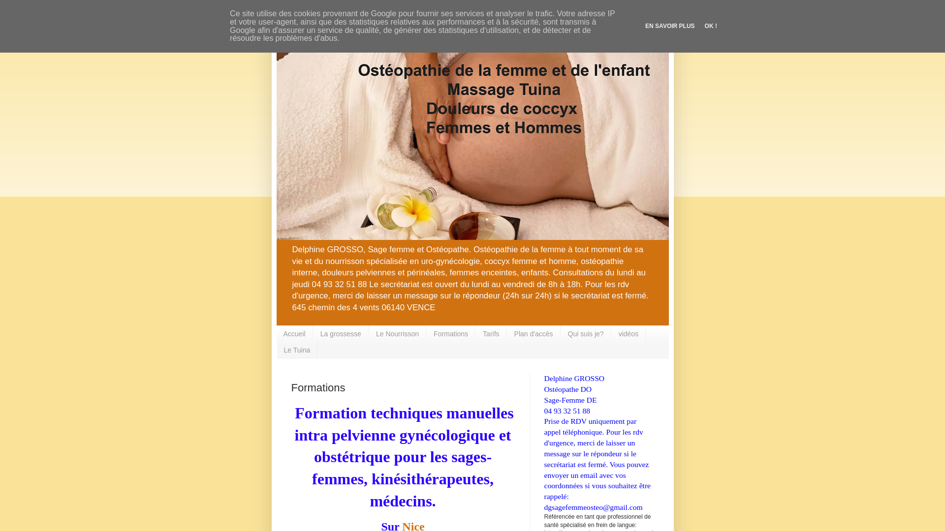 Capture d'écran de Formation ostéopathie gynécologique et intra pelvienne pour  sage-femme, ostéopathe et kinésithérapeute, Ostéopathie intra pelvienne