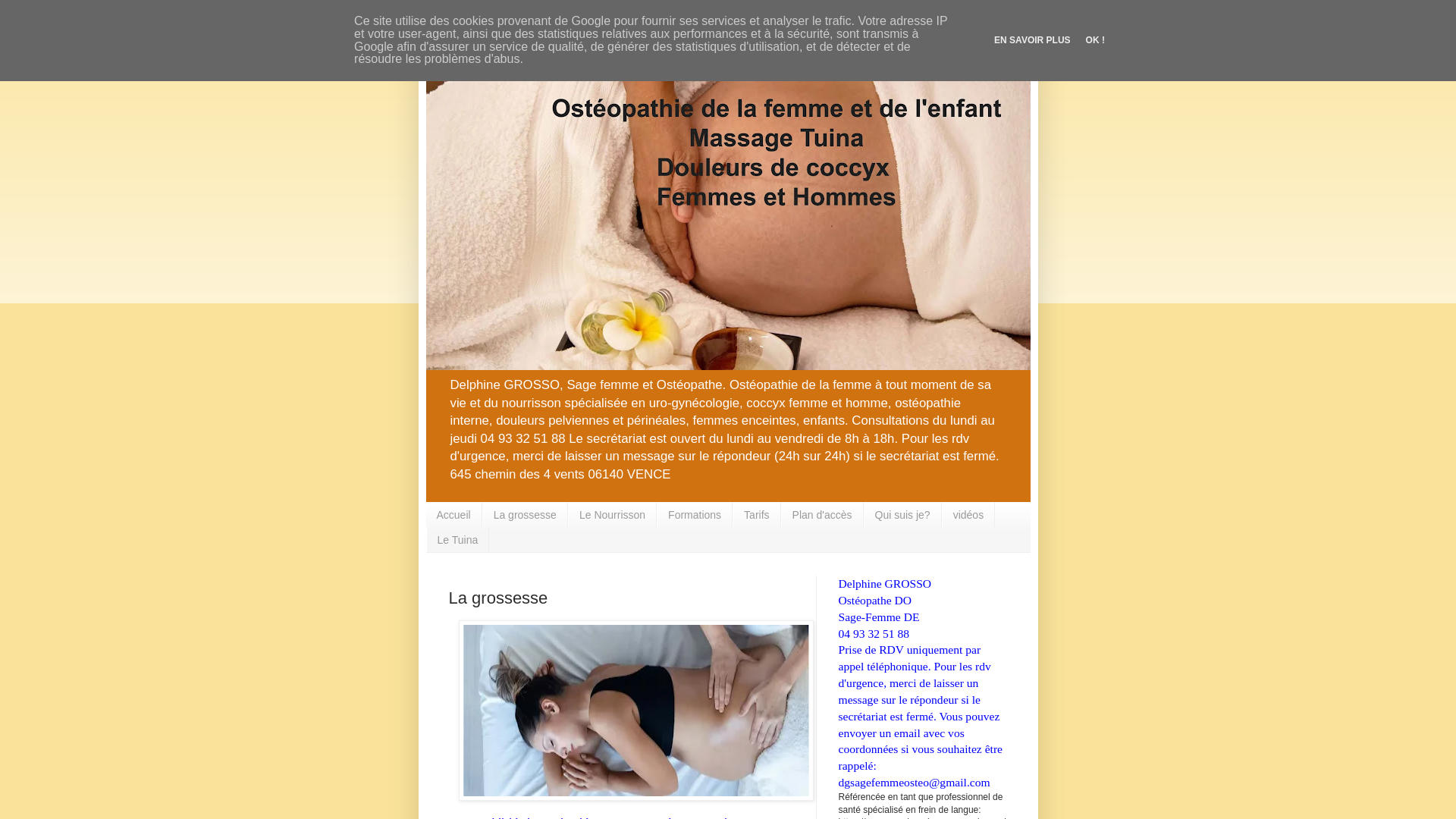 Capture d'écran de Ostéopathie de la femme enceinte