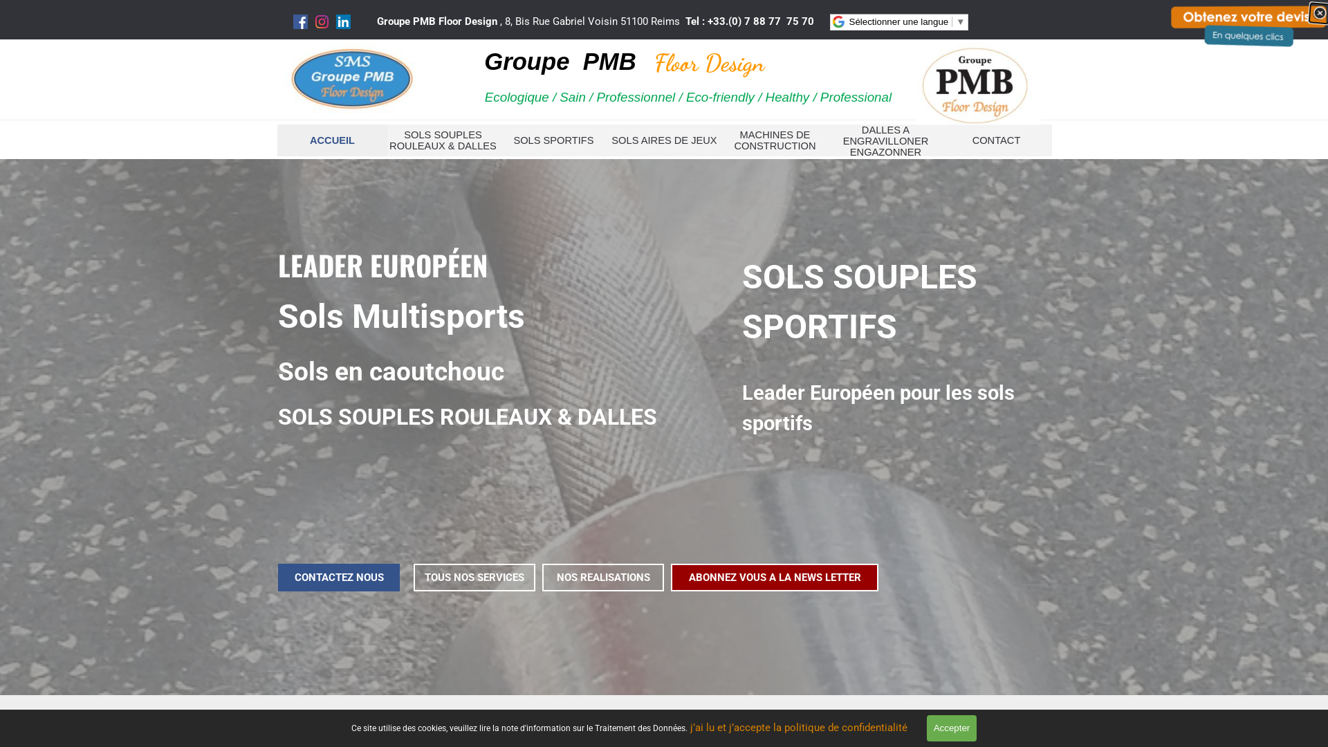 Capture d'écran de Sols Multi Sports - RÉSINES PU - BSG , Revetement sols Multisports, Revetement Sols Sportif , BSG